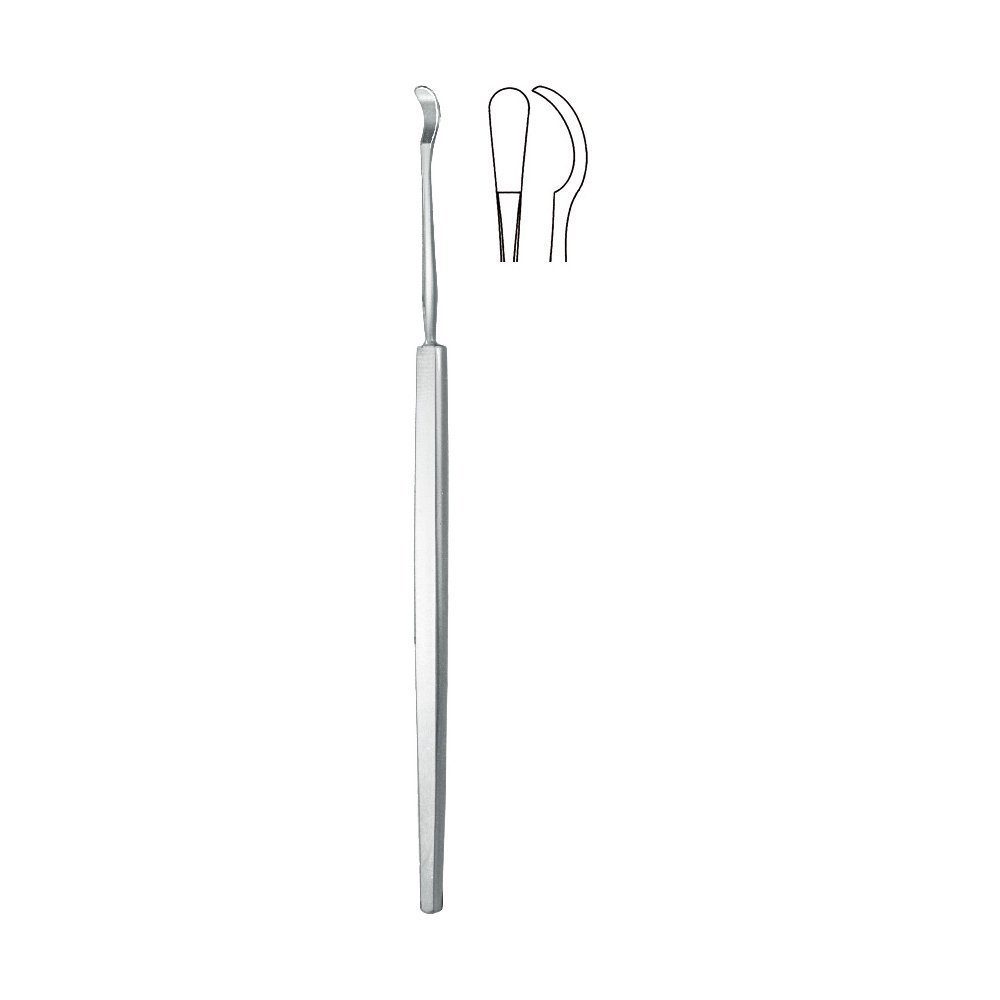 Probes, Applicators, Spatulas