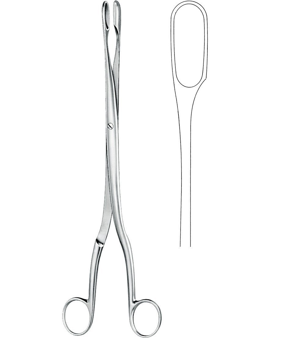 Obstetrics