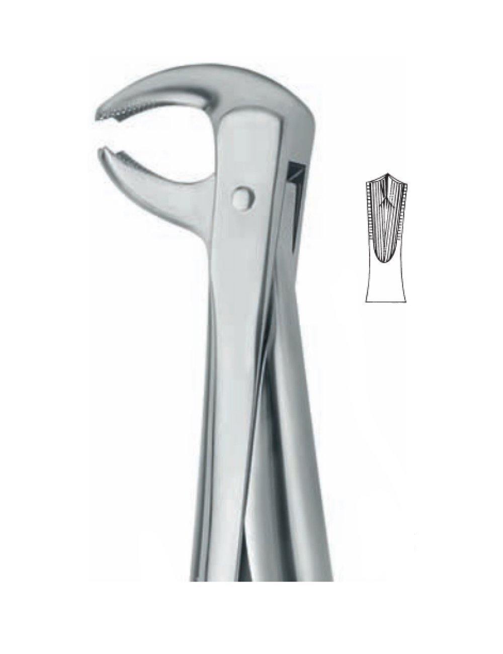 Extracting Forceps