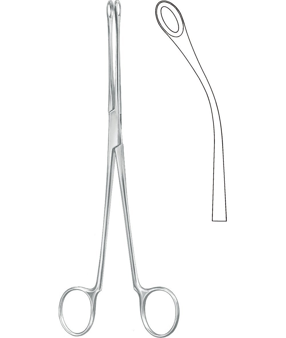 Urology