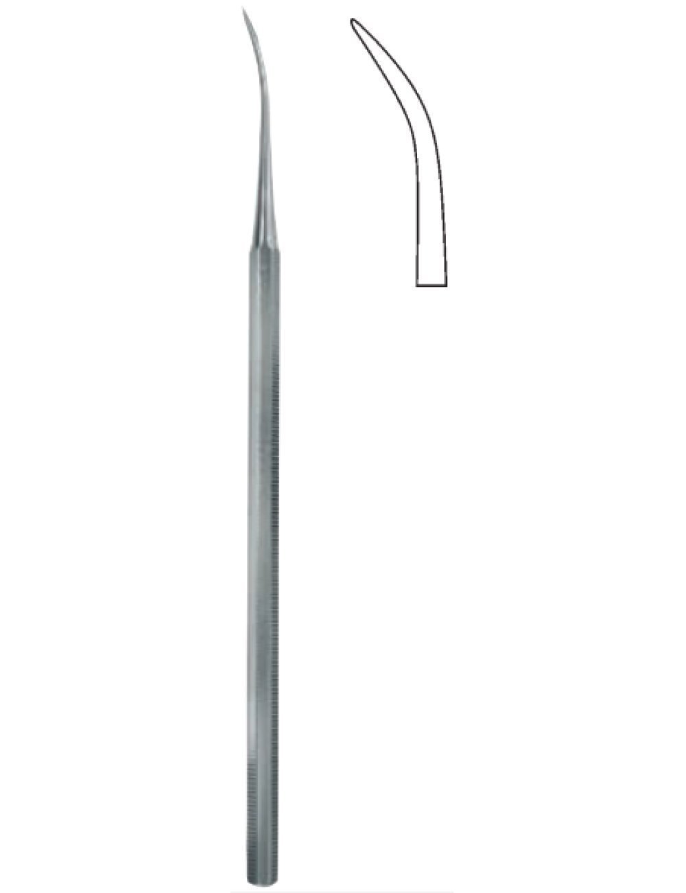 Dental And Oral Surgery