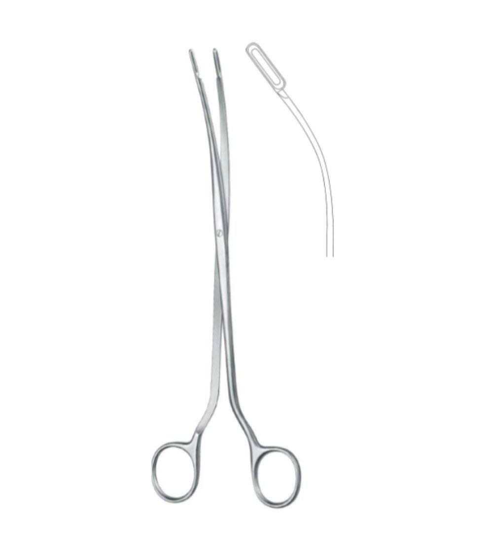 Urology