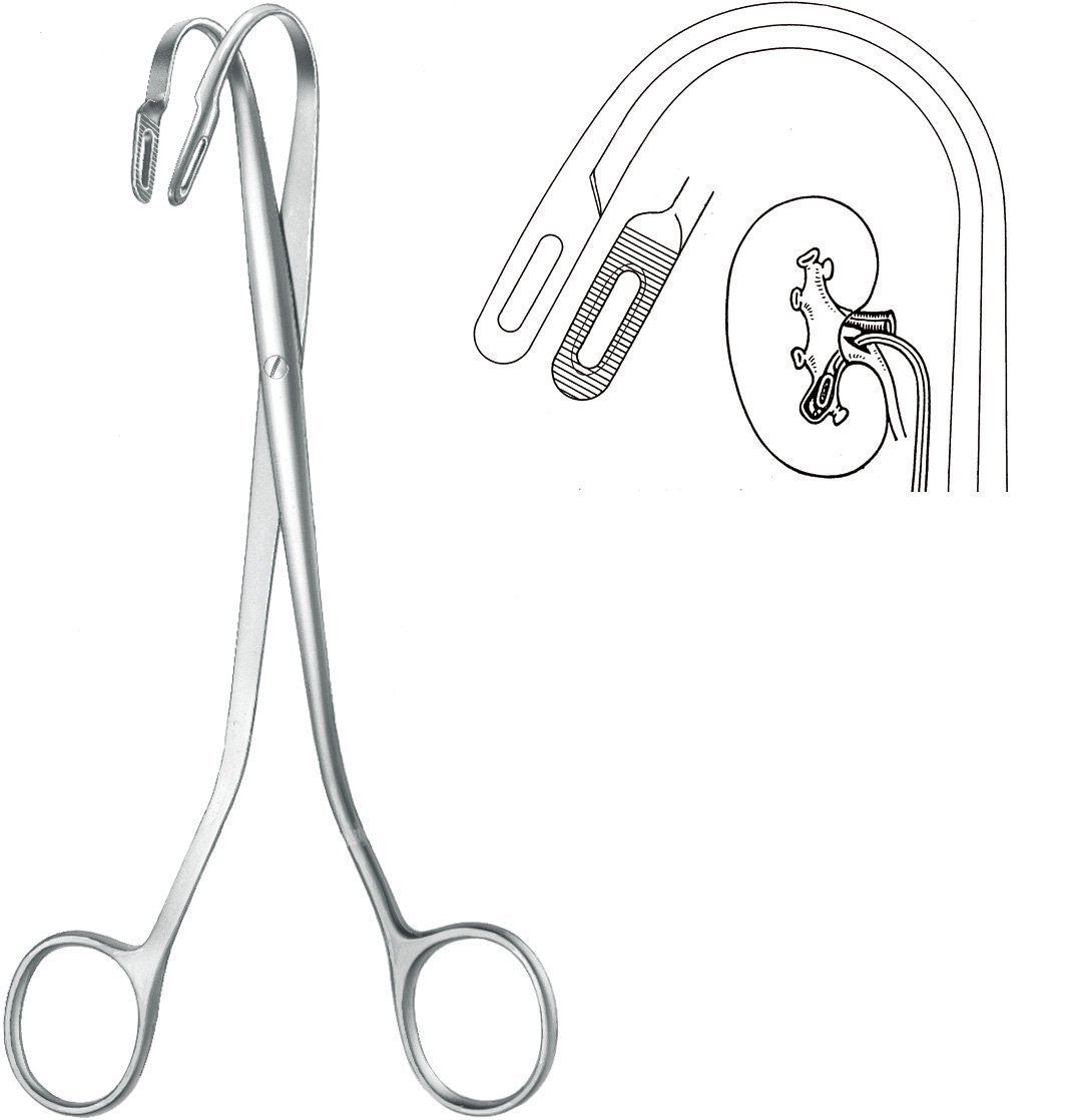 Urology