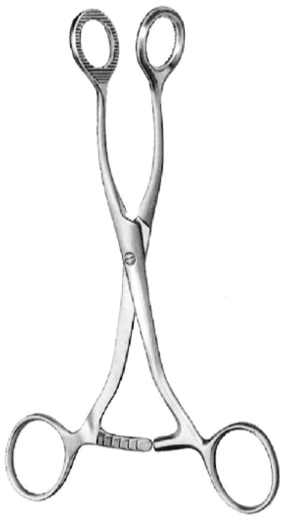 Oral Maxillo-Facial Surgery